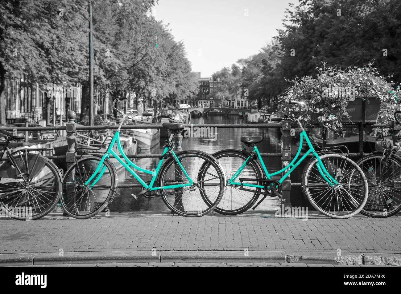 Due moto azzurre fresche per le strade di Amsterdam. Simbolo per il trasporto urbano pulito ed ecologico. Isolato su sfondo bianco e nero. Foto Stock