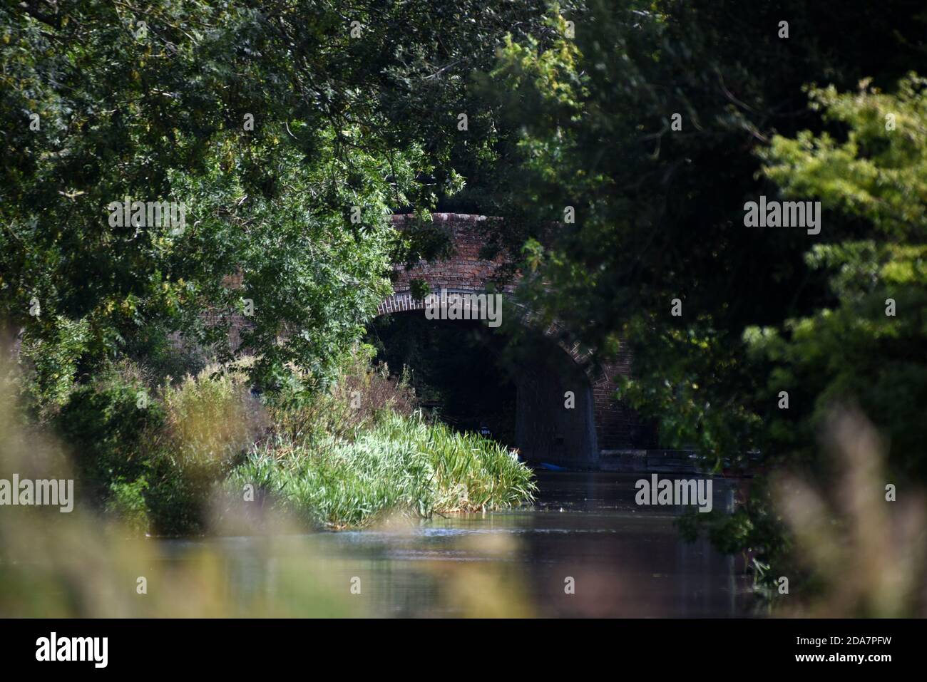 Un vecchio ponte di mattoni sul bel canale di Basingstoke Una giornata estiva nei pressi di Odiham in Hampshire Foto Stock