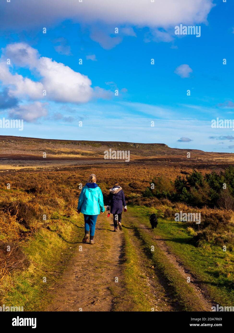 Escursionisti che si godono una passeggiata a Beeley Moor nel Derbyshire Peak District Inghilterra Regno Unito Foto Stock