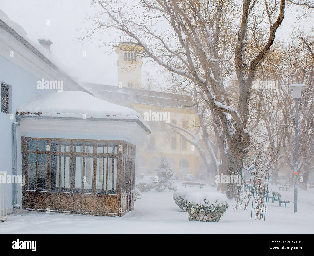 Neve portata da una forte ala in una città coperta in un tappeto di neve fresco e pensare Foto Stock