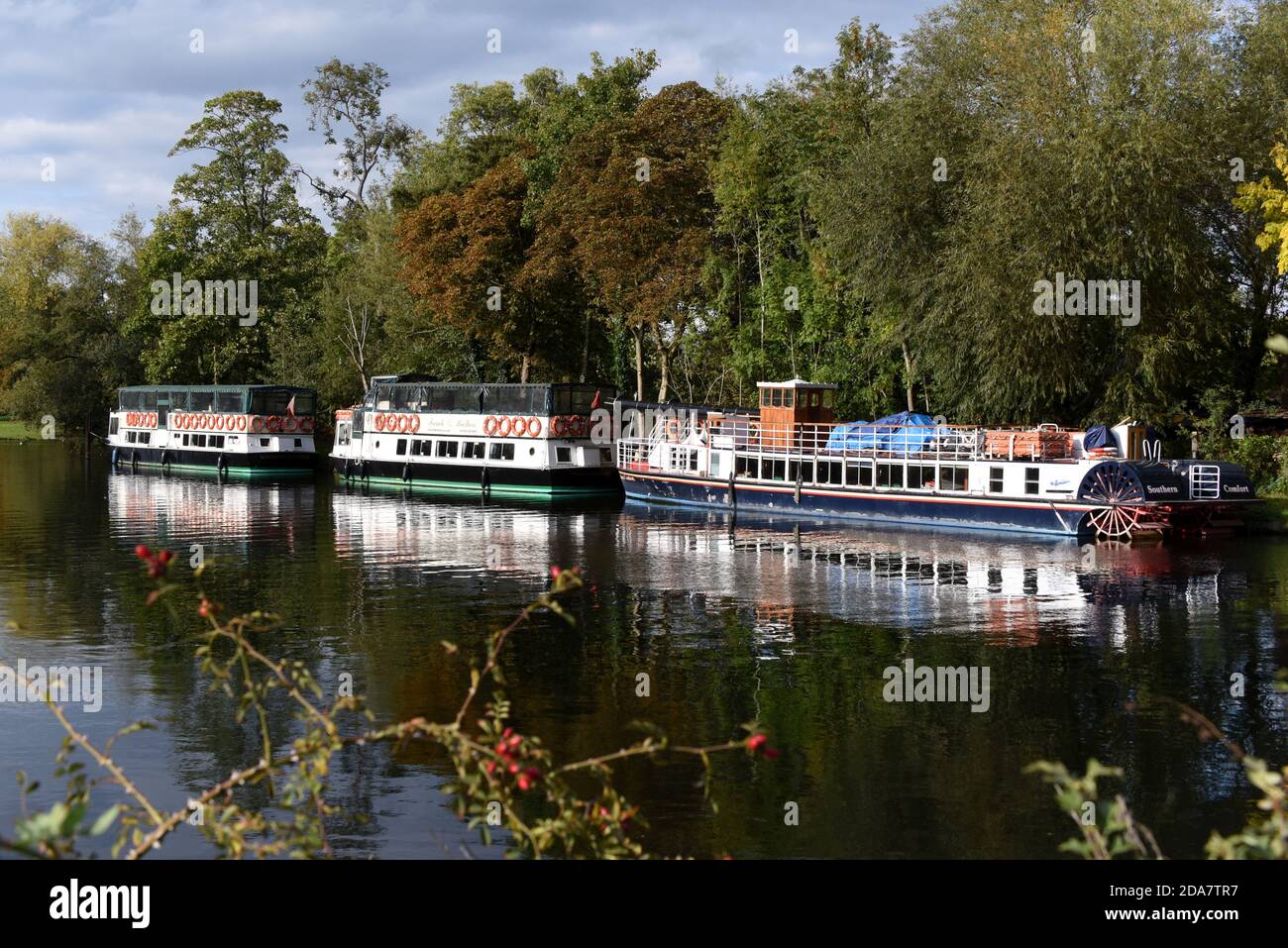 Le barche sono ormeggiate lungo il Tamigi sul Surrey/Berkshire confine in un chiaro giorno d'autunno Foto Stock
