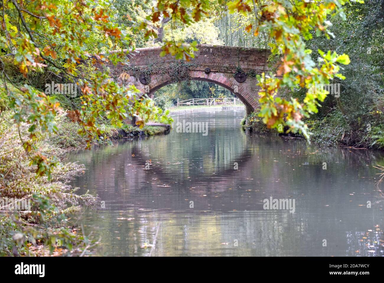 Il Barley Mow Bridge si riflette nelle acque ferme Del bel canale di Basingstoke a Dogmersfield in Hampshire Foto Stock