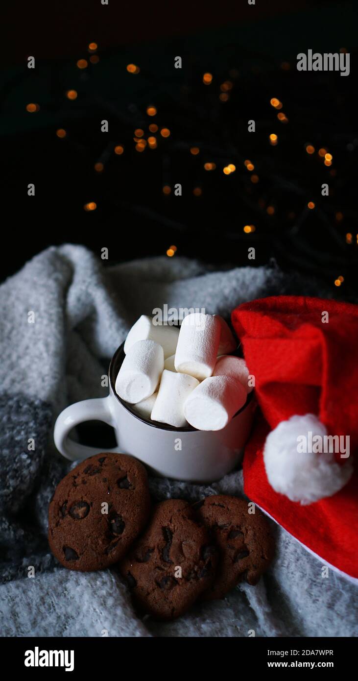 Tazza di cioccolata calda con cappello di natale, marshmallow e biscotti al  cioccolato. Spirito di Natale, bevanda calda invernale. Messa a fuoco  selettiva - foto verticale Foto stock - Alamy