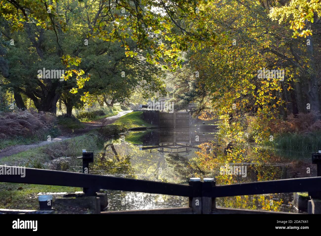 Un cancello di serratura riflesso nelle acque ferme su un Bella giornata d'autunno lungo il delizioso canale di Basingstoke vicino a Pirbright In Surrey Foto Stock