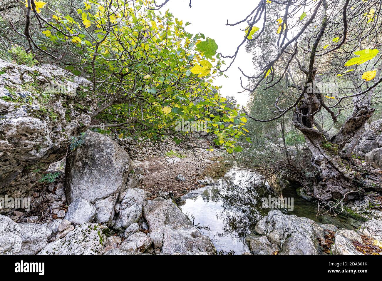 Foto del burrone di Biniaraix, nella città di Sóller, uno dei percorsi escursionistici più belli e spettacolari di Maiorca, nelle Isole Baleari. Foto Stock