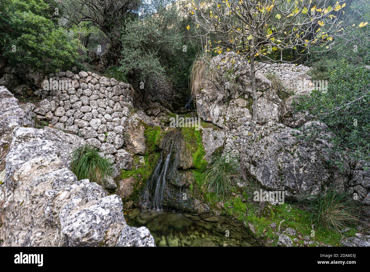 Foto del burrone di Biniaraix, nella città di Sóller, uno dei percorsi escursionistici più belli e spettacolari di Maiorca, nelle Isole Baleari. Foto Stock