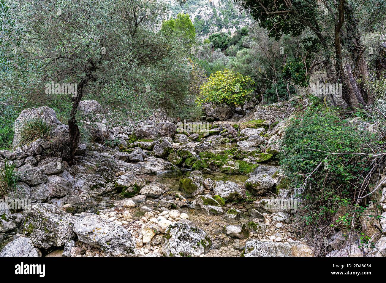 Foto del burrone di Biniaraix, nella città di Sóller, uno dei percorsi escursionistici più belli e spettacolari di Maiorca, nelle Isole Baleari. Foto Stock