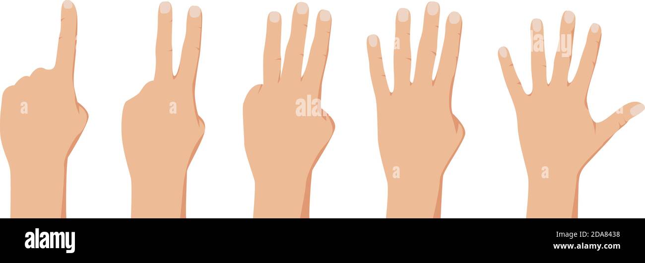 Contando da uno a cinque. Gesti realistici delle mani delle persone. Illustrazione Cector isolata su sfondo bianco Illustrazione Vettoriale