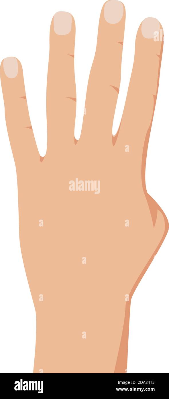 Movimento della mano che conta quattro, illustrazione realistica della mano di conteggio. Movimento manuale numero 4. Isolato su sfondo bianco. Vettore Illustrazione Vettoriale