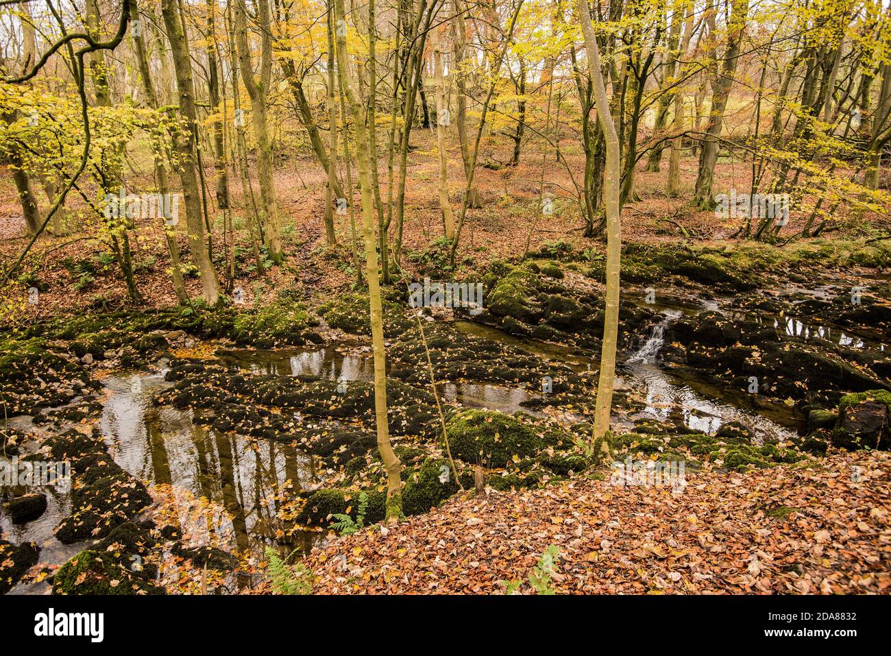 Horton in Ribblesdale Foto Stock