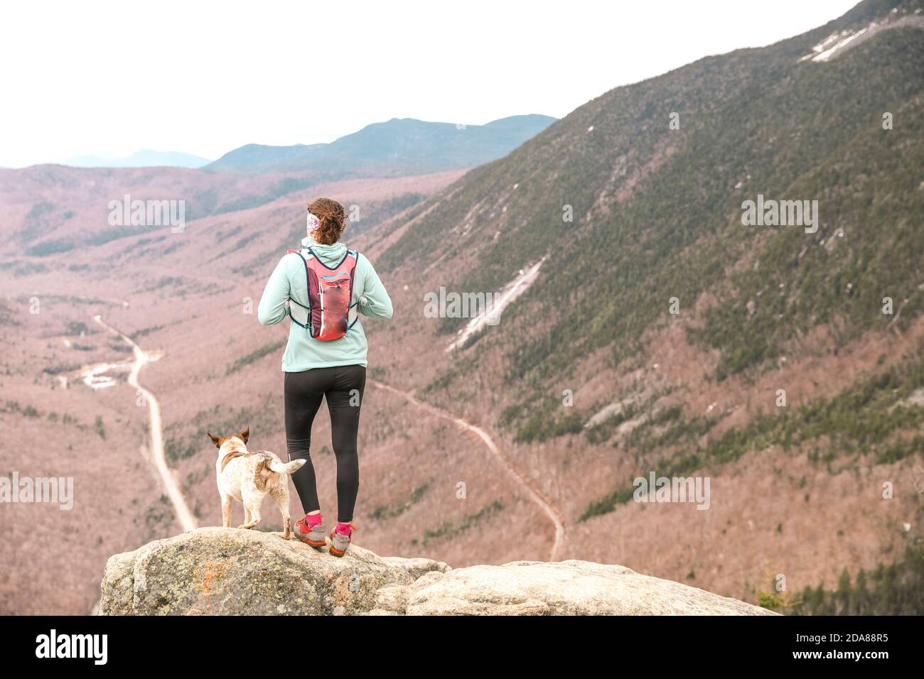 Donna trekking con cane, Mt Willard, New Hampshire, Stati Uniti Foto Stock
