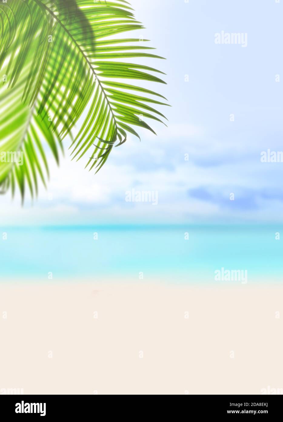 Estate spiaggia di sabbia sfondo. Foglia di palma verde, mare e cielo. Concetto estivo. Foto Stock