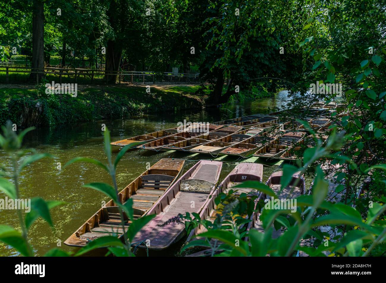 Punting barche di Magdalen Bridge Boathouse sul fiume Cherwell a Oxford, molte barche ormeggiate insieme in file. Gruppo luminoso e colorato di barche a remi Foto Stock