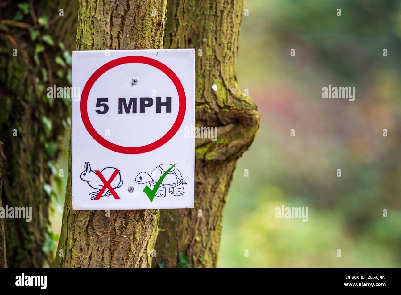 Segnale del limite di velocità a 5 KM/H su una strada privata Nel Regno Unito Foto Stock