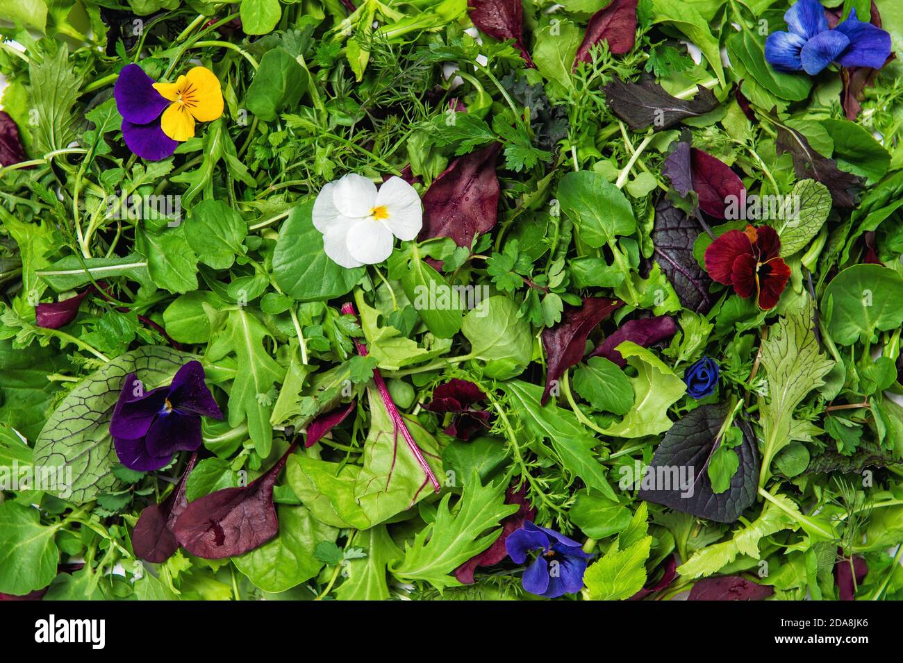 Foglie di insalata con fiori commestibili. Alimentazione sana. Cibo sfondo Foto Stock
