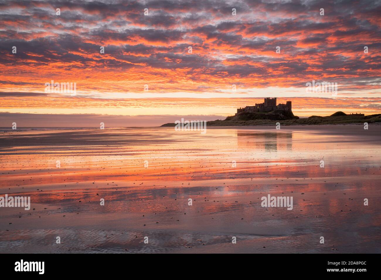 Un'alba vivida si riflette nella sabbia bagnata di Bambburgh Beach con il castello dalla silhouette adagiato su uno sperone roccioso sulla linea dell'orizzonte. Foto Stock