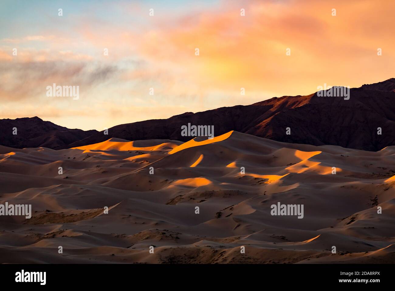 Khongoryn Els è conosciuta come 'Singing Sands'. Queste dune di sabbia si trovano all'interno del Parco Nazionale Gobi Gurvansaikhan nel deserto di Gobi a Mongol Foto Stock