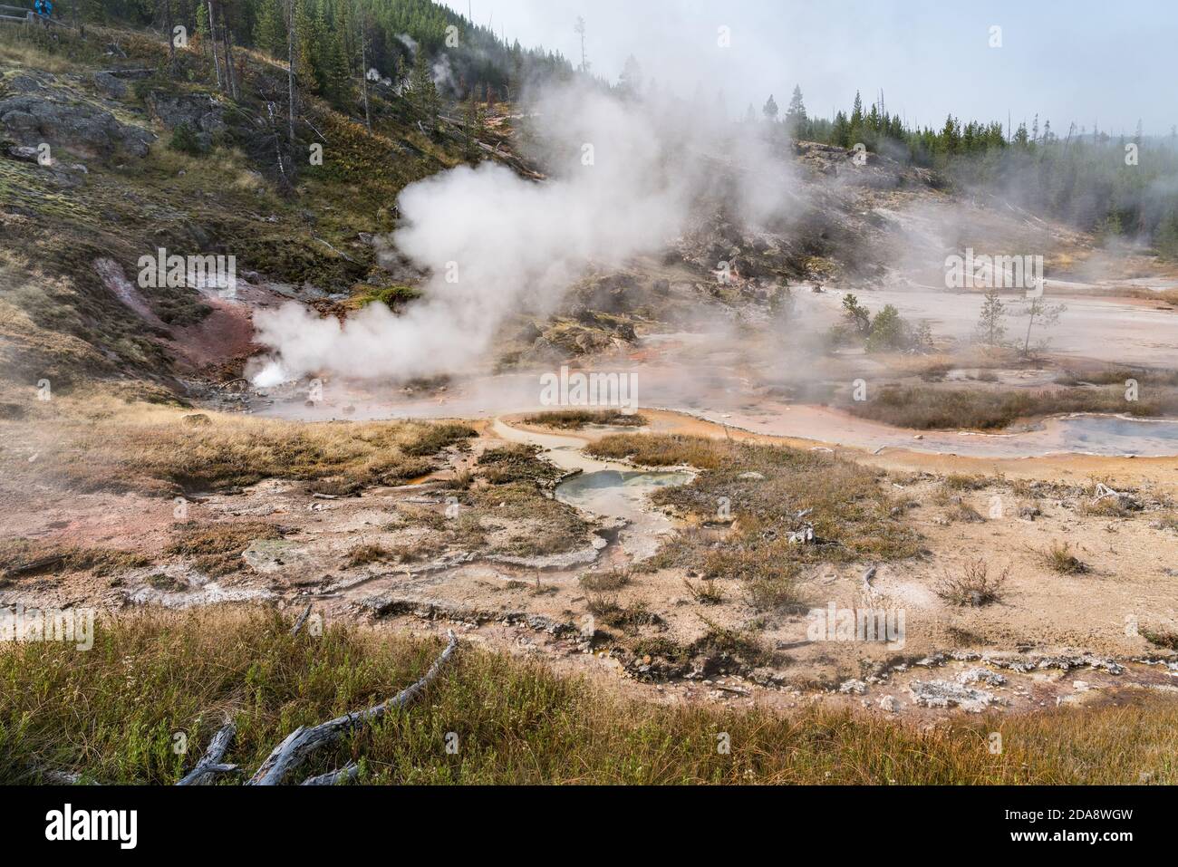 Blood Geyser che bolle e fuma negli Artists Paintpots del Parco Nazionale di Yellowstone nel Wyoming, Stati Uniti. Foto Stock