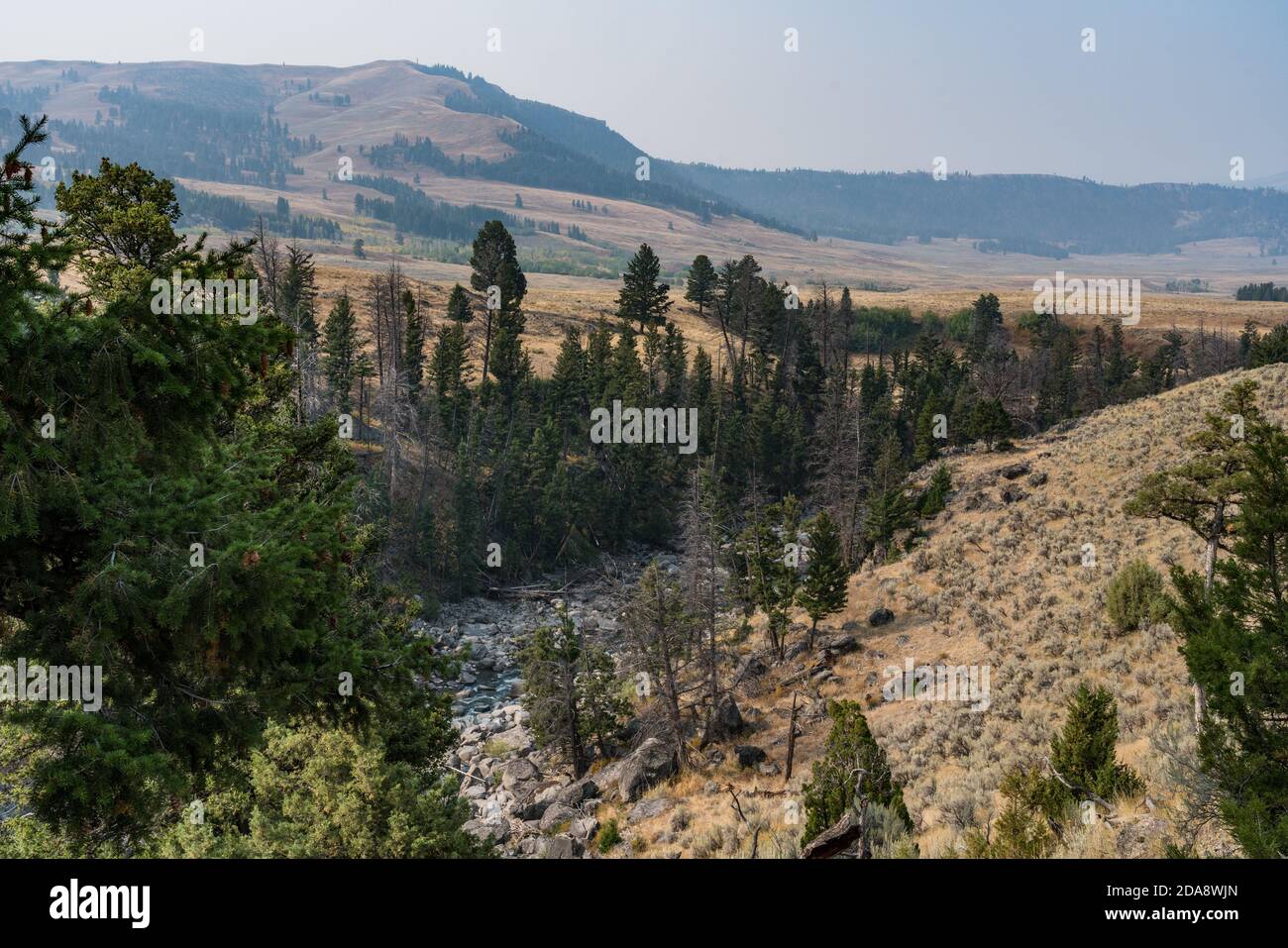 Il torrente Soda Butte scorre fuori dal suo canyon nella catena montuosa di Absaroka per fluire attraverso la Lamar Valley nel Parco Nazionale di Yellowstone nel Wyoming, Stati Uniti. Foto Stock