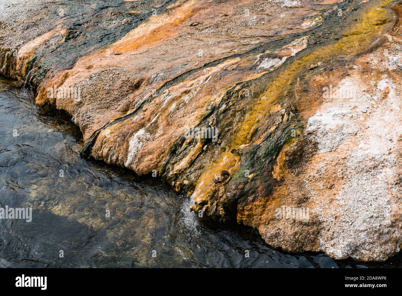 Vista ravvicinata dei tappetini di batteri termofili colorati che vivono in L'acqua calda che sgocciolano in Iron Spring Creek nel Bacino di sabbia nera di Yellowstone Foto Stock