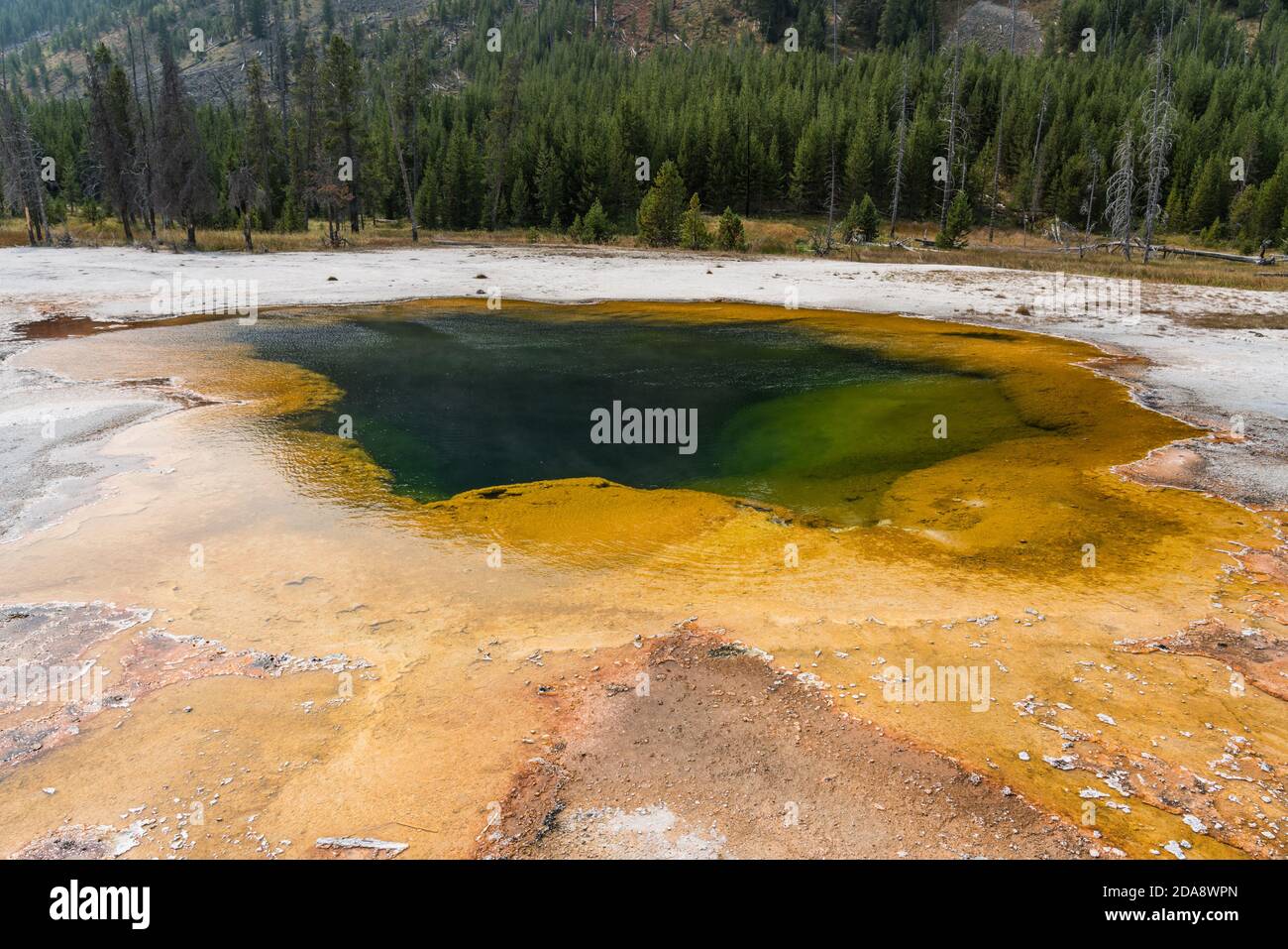 Batteri termofili gialli vivono sulle pareti della piscina di smeraldo nel bacino di sabbia nera nel Parco Nazionale di Yellowstone, Wyoming, USA. Foto Stock