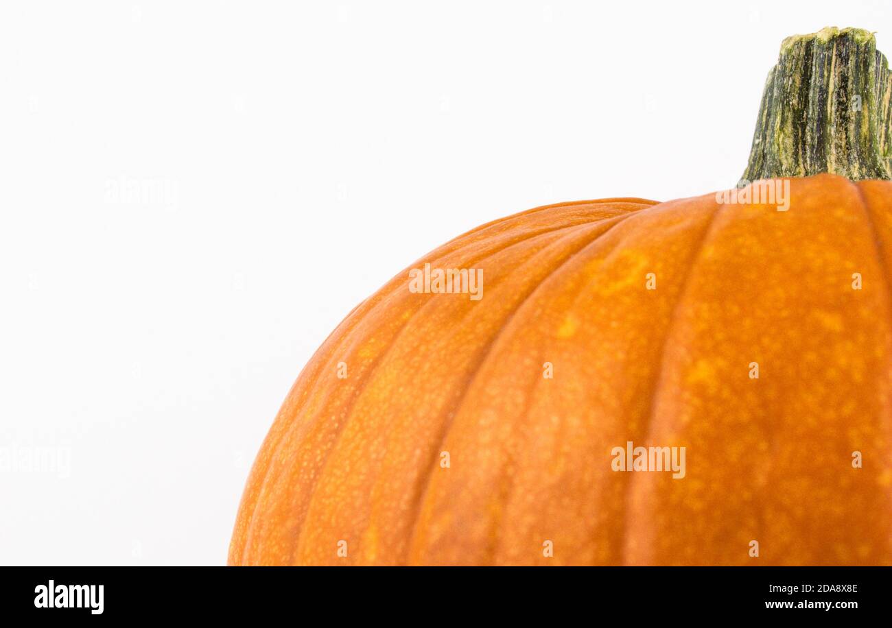 Zucca arancione matura su sfondo bianco. Zucca di Halloween su sfondo bianco.zucca organica fresca su sfondo bianco. Foto Stock