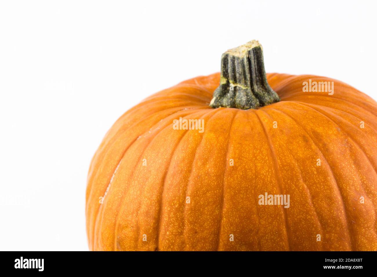 Zucca di Halloween su sfondo bianco. Zucca arancione matura su sfondo bianco. Zucca organica fresca su sfondo bianco. Foto Stock