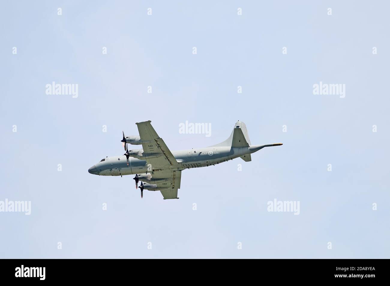 Lockheed CP - 140 Aurora velivolo marittimo di pattuglia operato dalla Royal Canadian Air Force in volo. Foto Stock