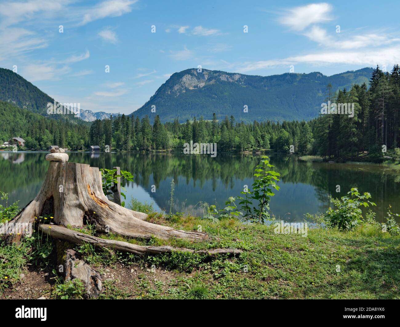Riserva naturale del Ödensee nel Salzkammergut Foto Stock