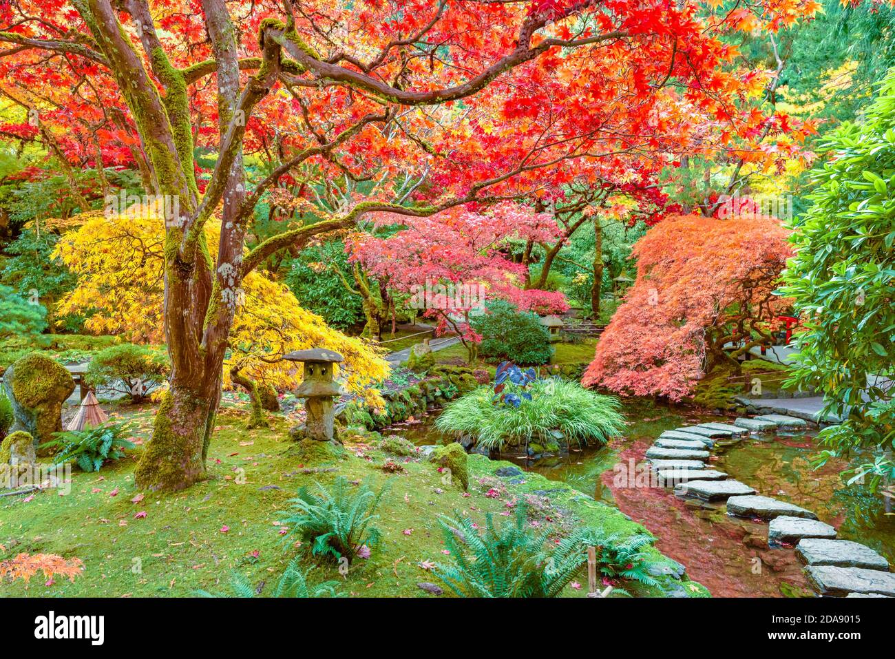 Colore autunnale, Giardino Giapponese, Butchart Gardens, Brentwood Bay, British Columbia, Canada Foto Stock