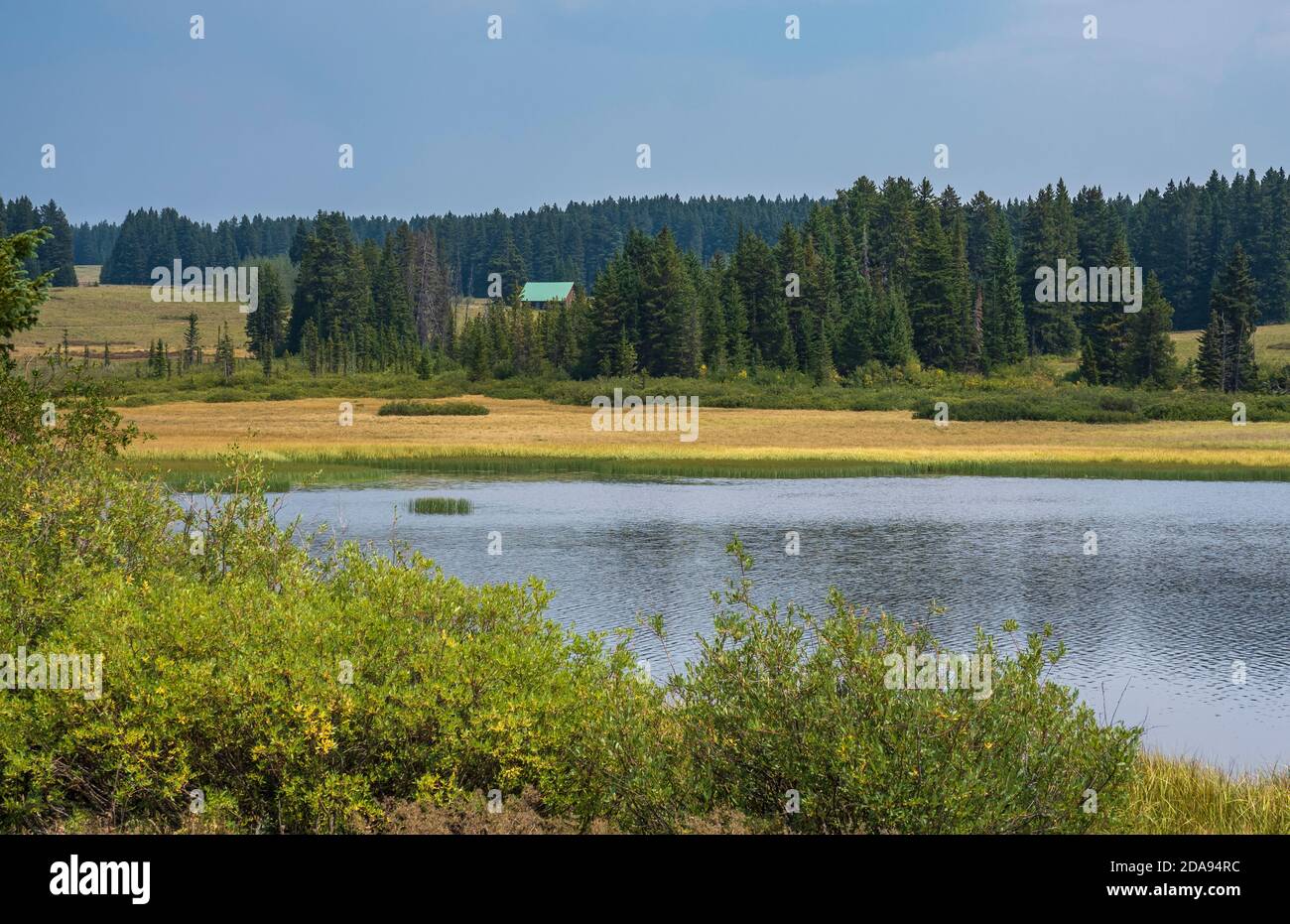 Crane Lake, Grand Mesa, Colorado. Foto Stock