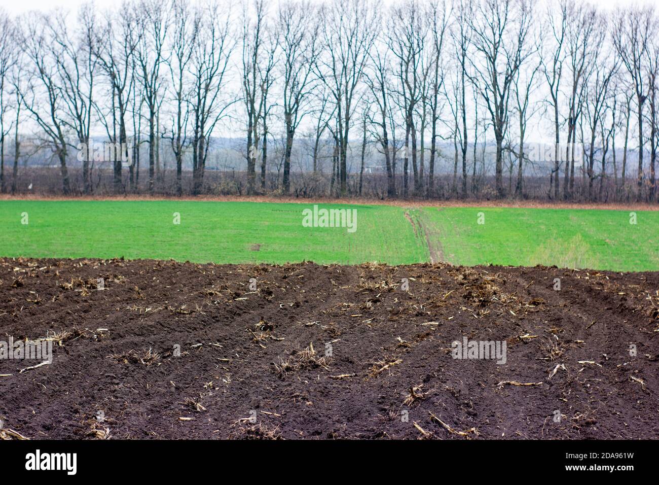 Un burrone con un'area coltivata per le colture primaverili Foto Stock
