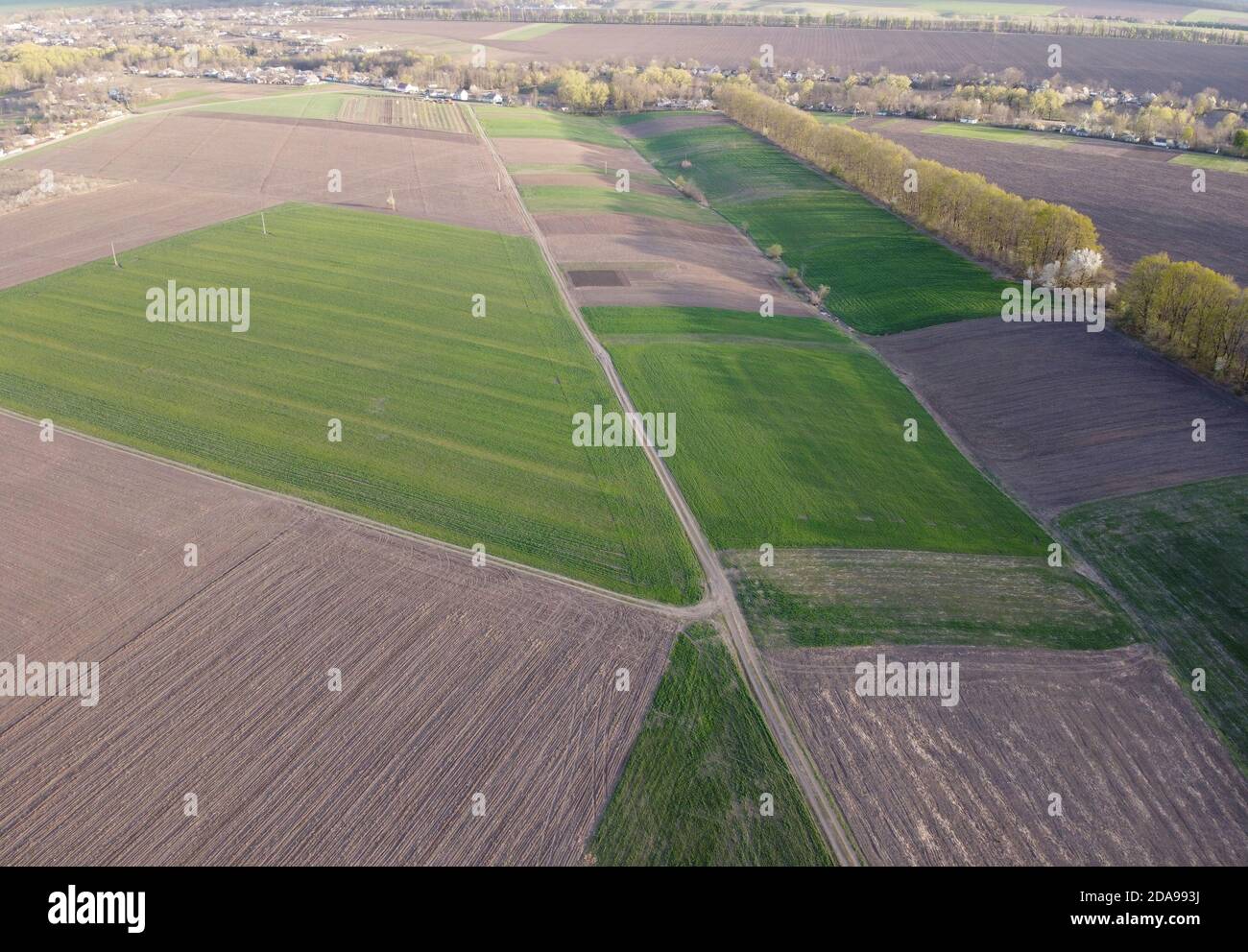 Piantagioni agricole piccole con raccolti differenti e raccolti crescenti in zone rurali Foto Stock