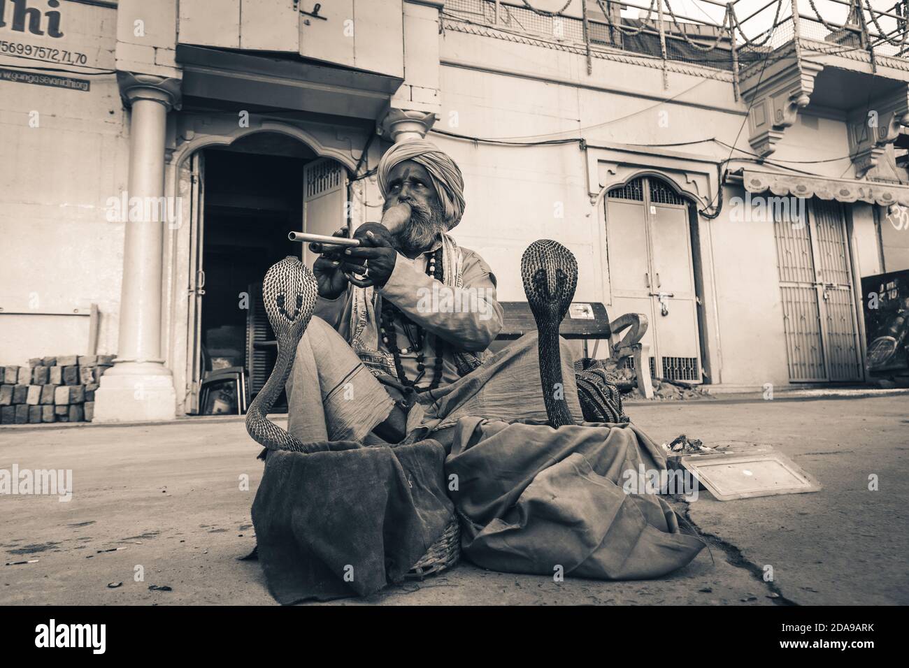 santa babà monaco santa hypnotize un serpente cobra kundalini con flauto sulla strada di varanasi, India. Foto Stock