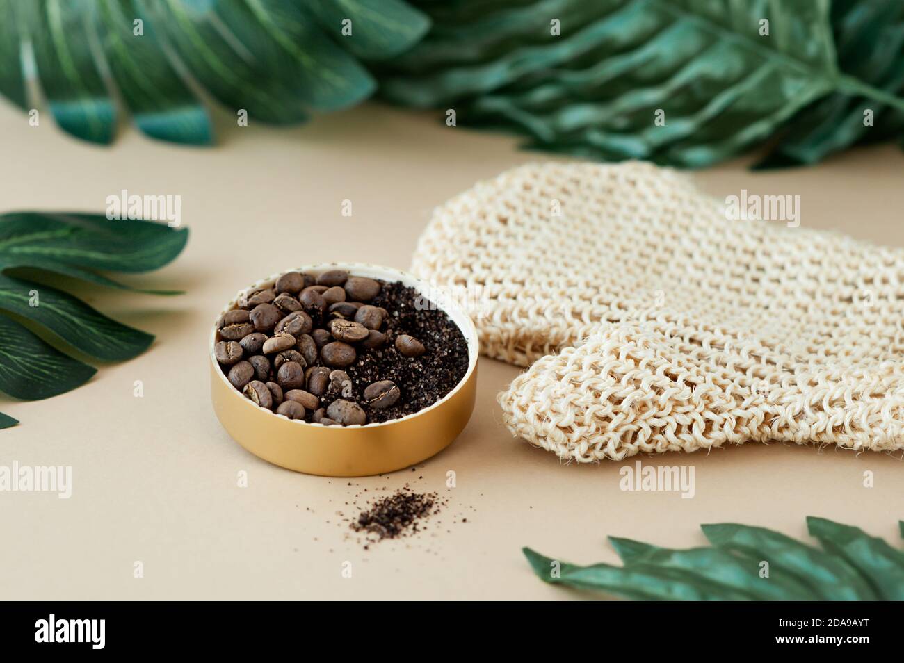 vasetto con scrub al caffè e grani su guanto con spazzola per massaggio ruvido in iuta su fondo beige pulito con foglie verdi tropicali di grandi dimensioni, layout cosmetico Foto Stock