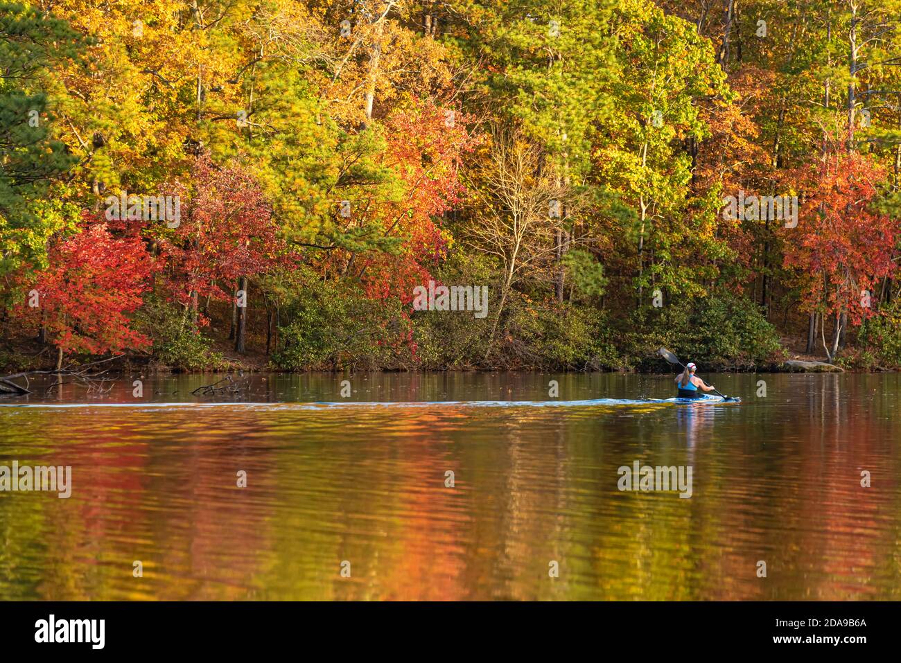 Kayak che scivola attraverso il vivace fogliame autunnale al tramonto sullo Stone Mountain Lake nello Stone Mountain Park vicino ad Atlanta, Georgia. (STATI UNITI) Foto Stock