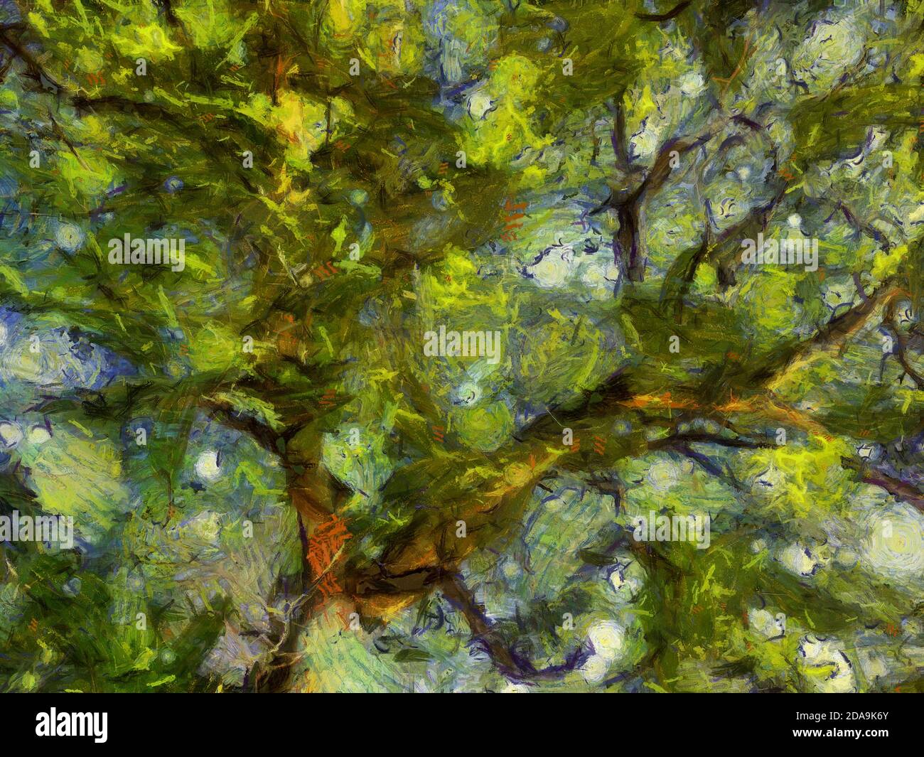 I rami delle foglie sui grandi alberi che brillano attraverso le illustrazioni creano uno stile di pittura impressionista. Foto Stock