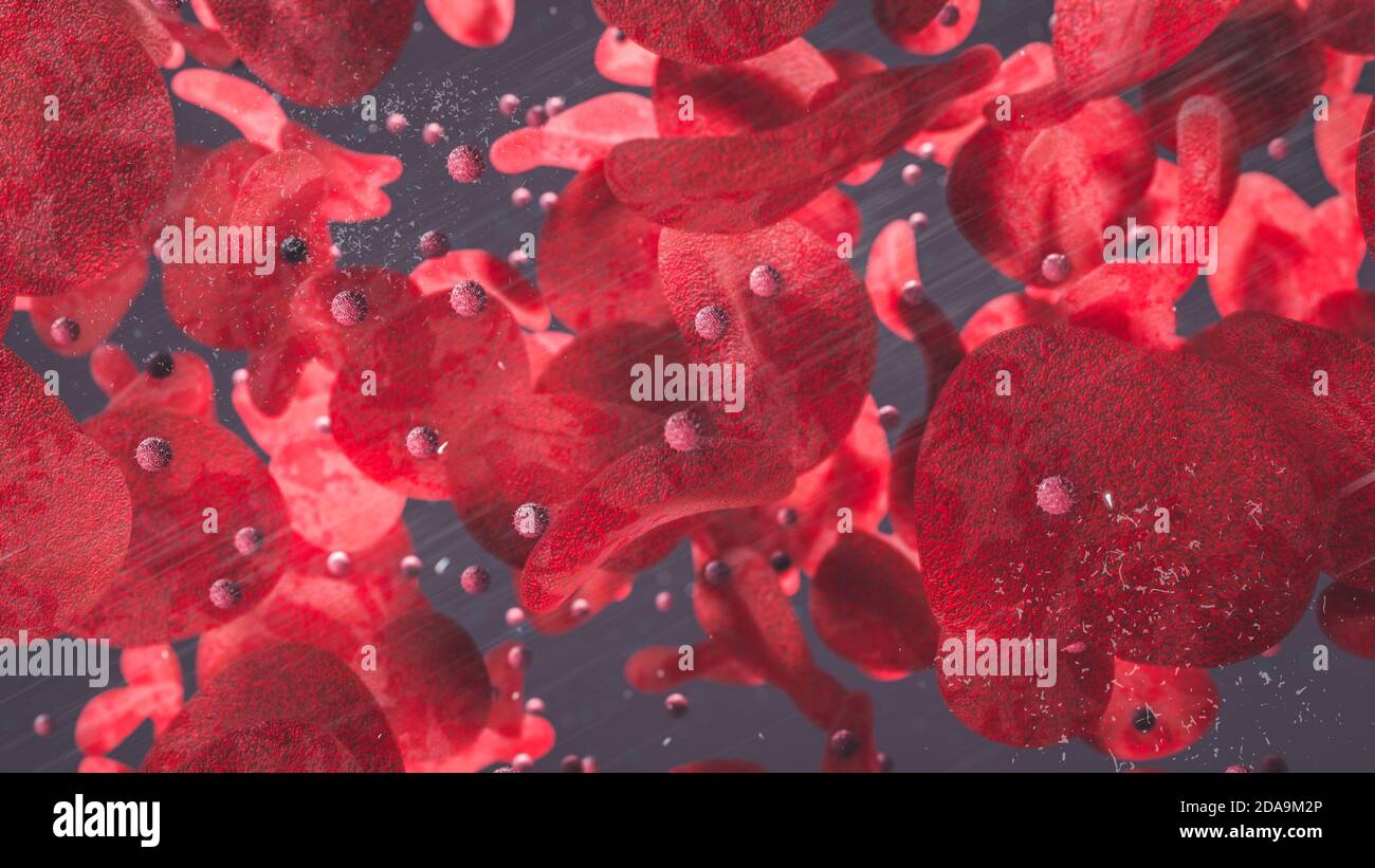 Globuli rossi e cellule T che galleggiano attraverso i vasi sanguigni 3d rendering Foto Stock