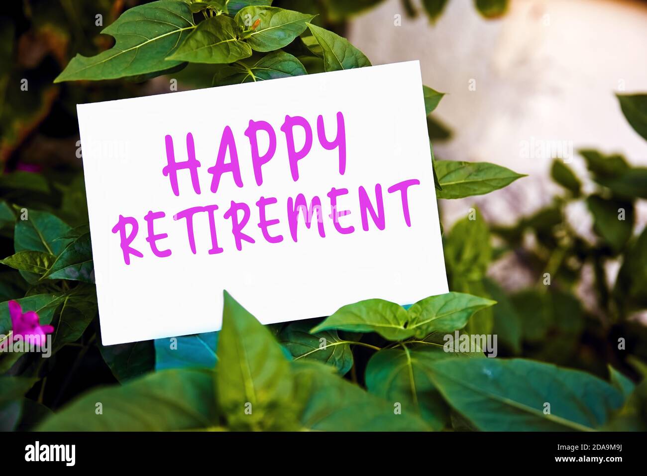 Felice messaggio di pensionamento scritto su carta su giardino verde e piante sfondo. Foto Stock