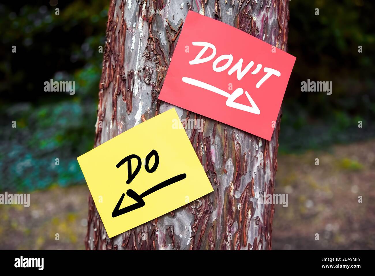 Non fare e non parole scritte su carte su un albero con segni di freccia. Dilemma tra cosa fare o non fare concetto. Foto Stock