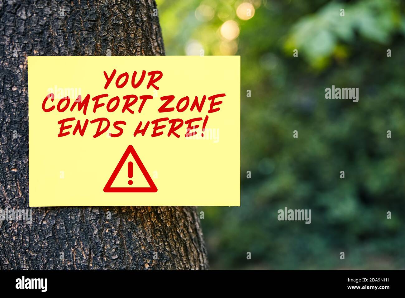 Il messaggio ispiratore della tua Comfort zone termina qui su carta su un albero in natura. Lasciate la zona di comfort nella vita o nel preventivo motivazionale aziendale. Foto Stock