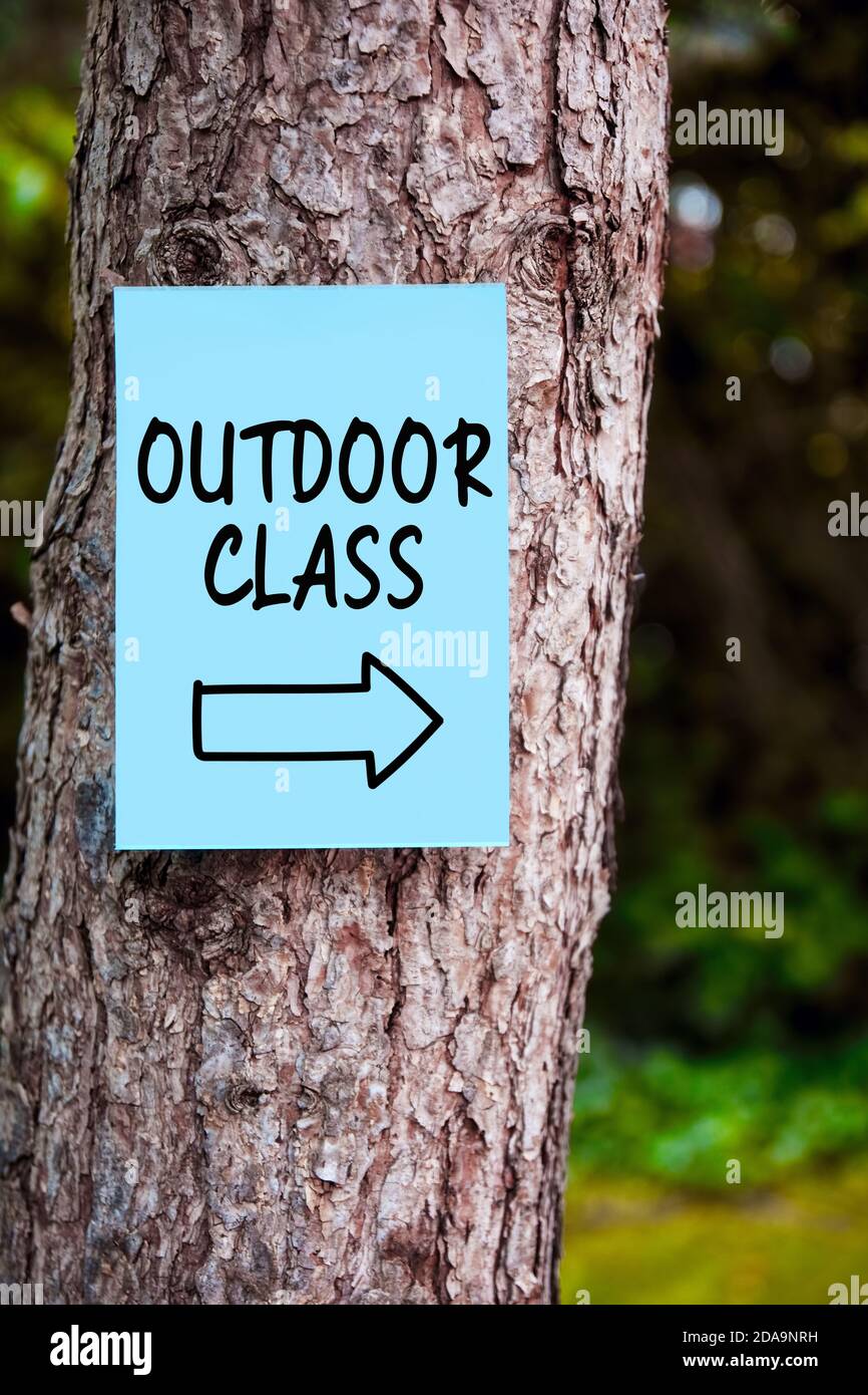 Insegna all'aperto con una freccia scritta su carta montata su un albero nella foresta. Formazione all'aperto. Foto Stock