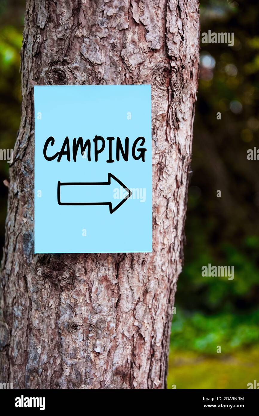 Cartello direzionale Camping scritto a mano su un cartellino blu montato su un albero nella foresta. Campeggio natura concetto di vacanza. Foto Stock