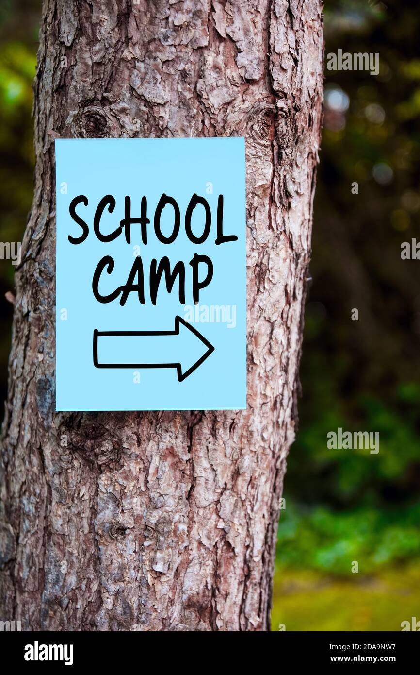 Insegna del campo scolastico con una freccia scritta su carta montata su un albero nella foresta. Concetto di istruzione all'aperto. Foto Stock