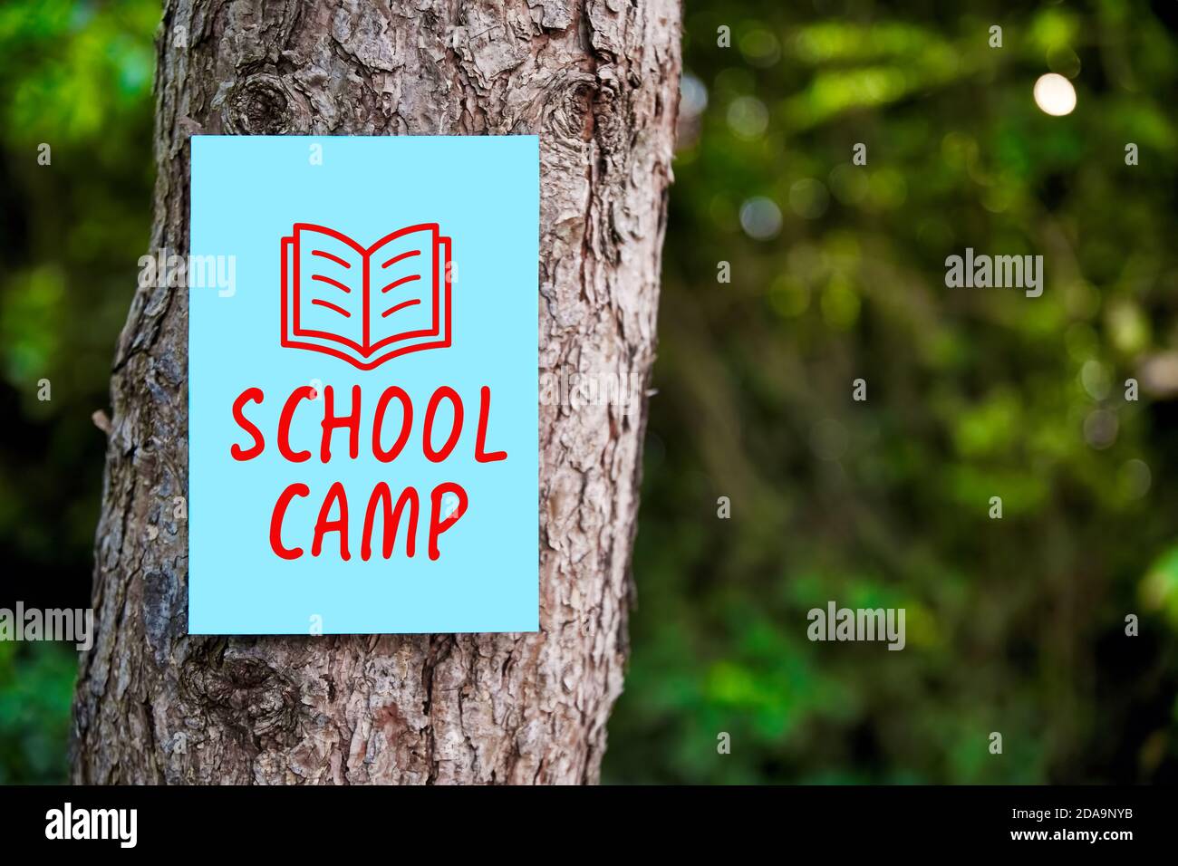 Insegna del campo scolastico con una freccia scritta su carta montata su un albero nella foresta. Concetto di istruzione all'aperto. Foto Stock