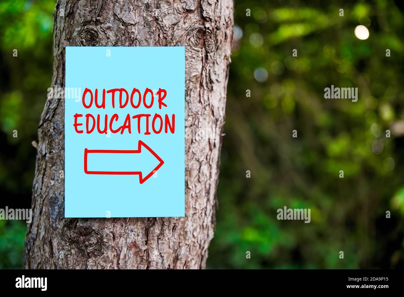 Insegna di educazione all'aperto con una freccia scritta su carta montata su un albero nella foresta. Formazione all'aperto. Foto Stock