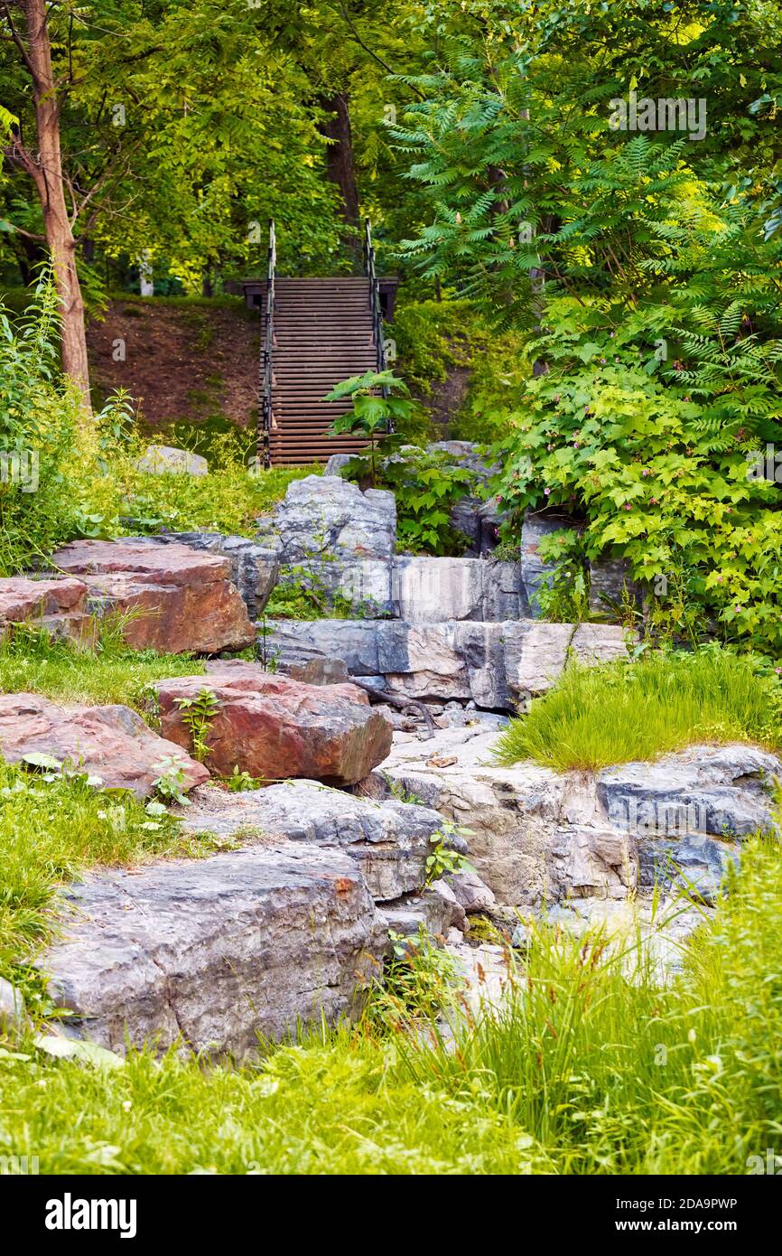 Alberi, piante, rocce e scale nel Mount Royal Park a Montreal, Canada. Foto Stock