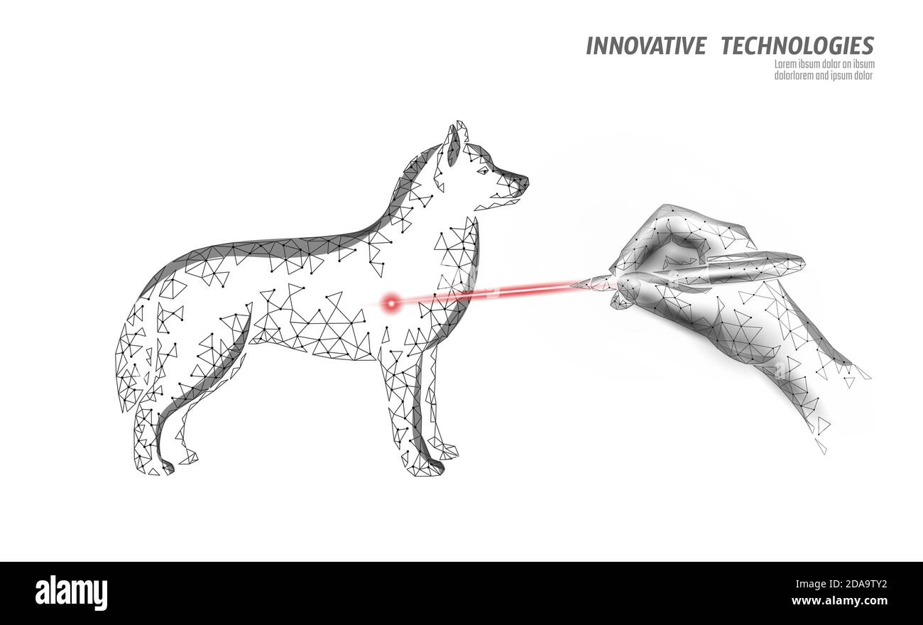 Clinica veterinaria cane chirurgia animale domestico. Doctor Companion laser  con silhouette poligonale 3D a basso profilo per cani. Vettore modello  banner centro medico animale Immagine e Vettoriale - Alamy
