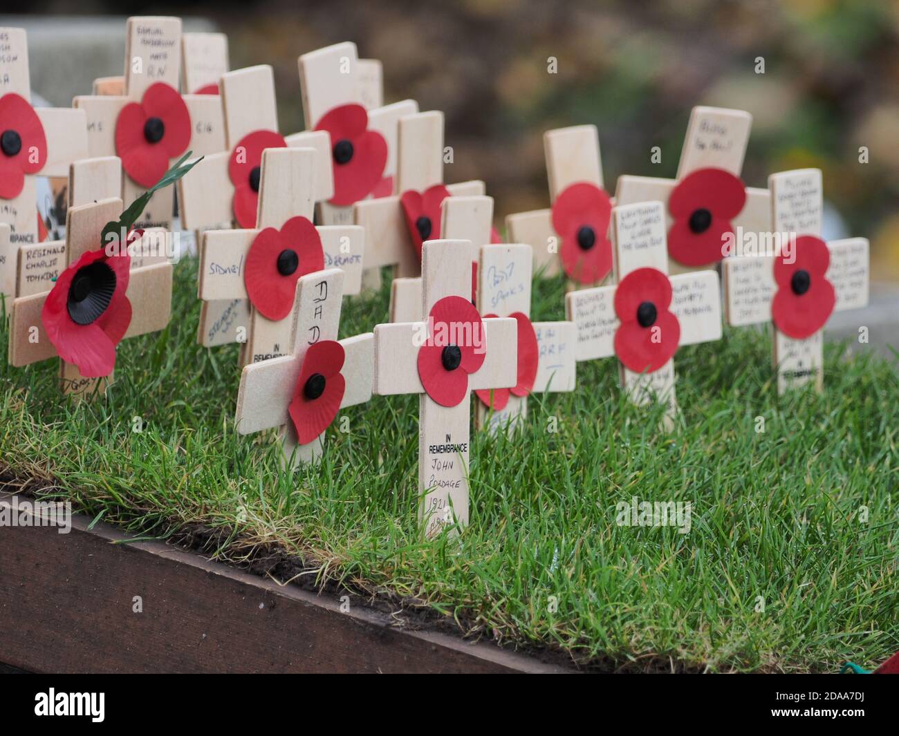 Sheerness, Kent, Regno Unito. 11 Novembre 2020. Sheerness War Memorial decorato con corone per il giorno della memoria. Credit: James Bell/Alamy Live News Foto Stock