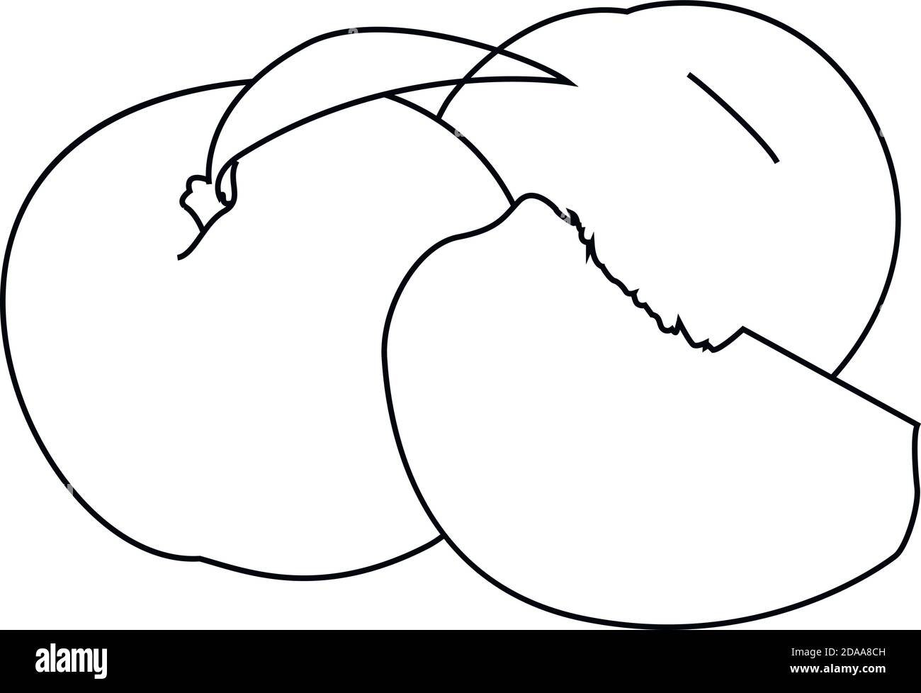 Pesche mature realistiche, intere e tagliate a fette. Succosa frutta dolce realistico vettore di linea alto dettaglio isolato su sfondo bianco. Pesche mature, intere e sli Illustrazione Vettoriale